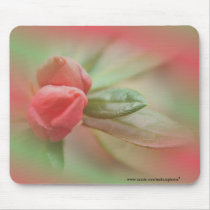 CoralAzaleaBudsMousepad- customize as needed