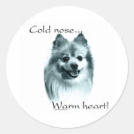 Corazón caliente de la nariz fría de Pomeranian - 