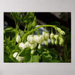 corazones sangrantes blancos #3 impresiones