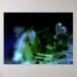 corazones sangrantes blancos elegantes, #3 azul posters