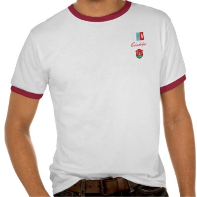 CÓRDOBA, ARGENTINA SHIRTS by TravisTeel