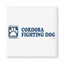 Cordoba Fighting Dog Blue magnets by GenuineDogOwner Cordoba Fighting Dog Blue magnets