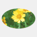 Coreopsis Flowers Oval Sticker