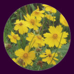 Coreopsis lanceolata stickers