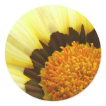 Coreopsis Sticker