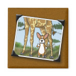Corgi and Giraffe Snapshots Fridge Magnet