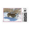 Corgi and Santa Hat postage