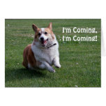 Corgi Birthday Card