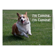 Corgi Birthday Card