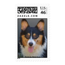 Corgi Black & Tan, Pembroke Welsh Corgi postage