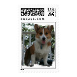 Corgi Dog Postage Stamp stamps