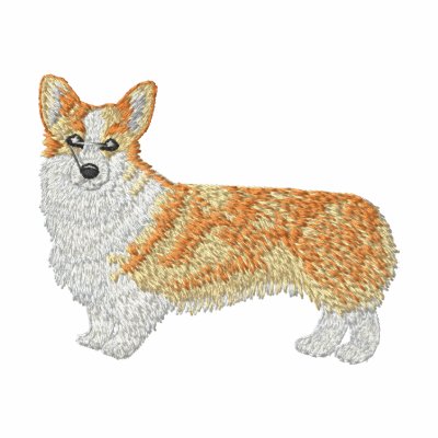 Corgi Galés del Pembroke Corgi Galés del Pembroke