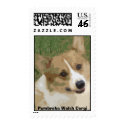 Corgi Green Paint, Pembroke Welsh Corgi postage