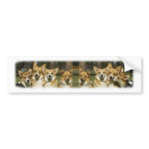 Corgi Group bumper stickers by TraffordPhotos Corgi Group bumper stickers