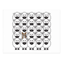 Corgi in the Sheep Post Cards