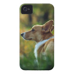 Corgi iPhone Case iPhone 4 Case-Mate Cases