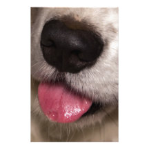 Corgi Kisses Stationery Paper