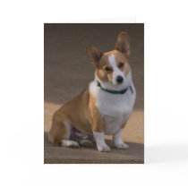 Corgi Portrait Card