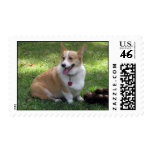 Corgi Postage postage