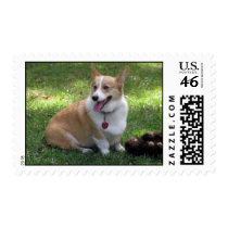 Corgi Postage postage