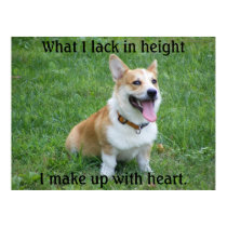 Corgi Poster posters