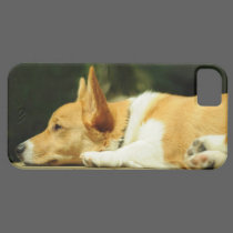 Corgi Pup iPhone 5 Case casemate cases