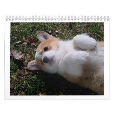 corgi puppies wall calendars by padfoot21