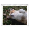 corgi puppies calendars by padfoot21 corgi puppies calendars