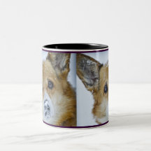 CORGI Snow Nose Mug