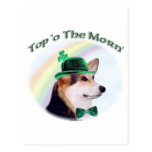 Corgi Top of the Morn Postcard