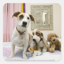 Corgi With Friends Square Stickers
