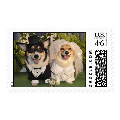Corgis get married postage stamp