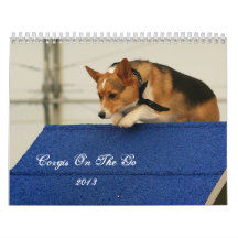 Corgis on the go 2013