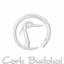 Cork Budokai Hoodie embroidered shirts