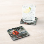 Cork Coaster - Customized