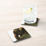 Cork Coaster - Customized