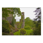 Cork, Ireland The infamous Blarney Castle 2 Greeting Cards Cork, Ireland The infamous Blarney Castle 2 Greeting Cards