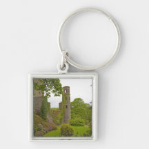 Cork, Ireland. The infamous Blarney Castle 2 Key Chain