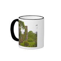 Cork, Ireland. The infamous Blarney Castle 2 Coffee Mug