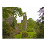 cork ireland the infamous blarney castle 2 postcard rdeabfda1b8354eb8b05286eaafb21b69 vgbaq 8byvr 150 Irish Heritage