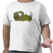 Cork, Ireland. The infamous Blarney Castle 2 T-shirt