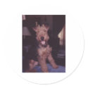 corky stickers by kathiscc corky stickers