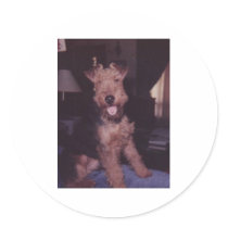 corky stickers