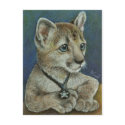 Corky the cougar postcards by tanyabond Corky the cougar postcards