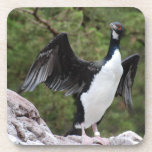 Cormorant Drink Coasters