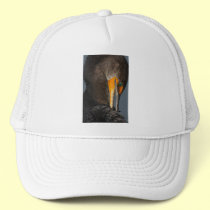 cormorant hats