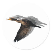 Cormorant in Flight 1 Sticker sticker