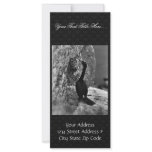 Cormorant on Nunivak Custom Rack Cards