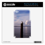 Cormorant On Pole Skins For iPod Touch 4G