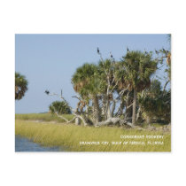 Cormorant Rookery Postcard